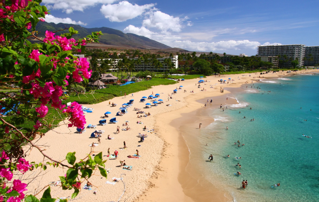 Maui, often considered one of the most beautiful islands in the world, offers a diverse range of landscapes, from the lush greenery of the Hana Highway to the volcanic landscapes of Haleakalā National Park