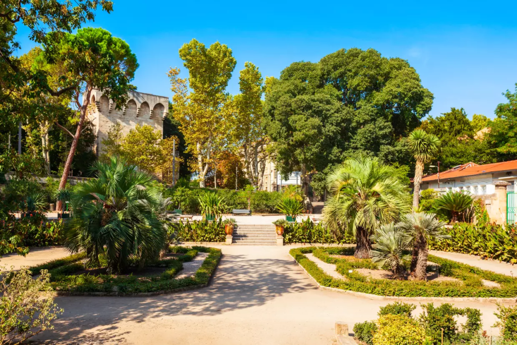 Montpellier's Jardin des Plantes is the oldest botanical garden in France, dating back to 1593