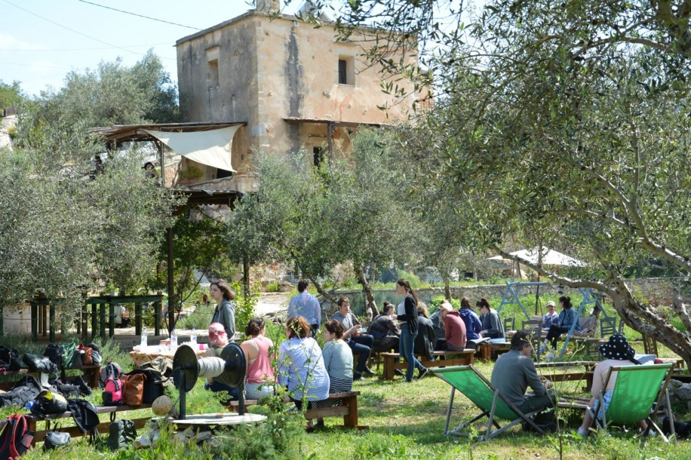 Cretan olive oil is world-renowned for its quality, and visiting a traditional olive oil farm is a great way to learn about its production