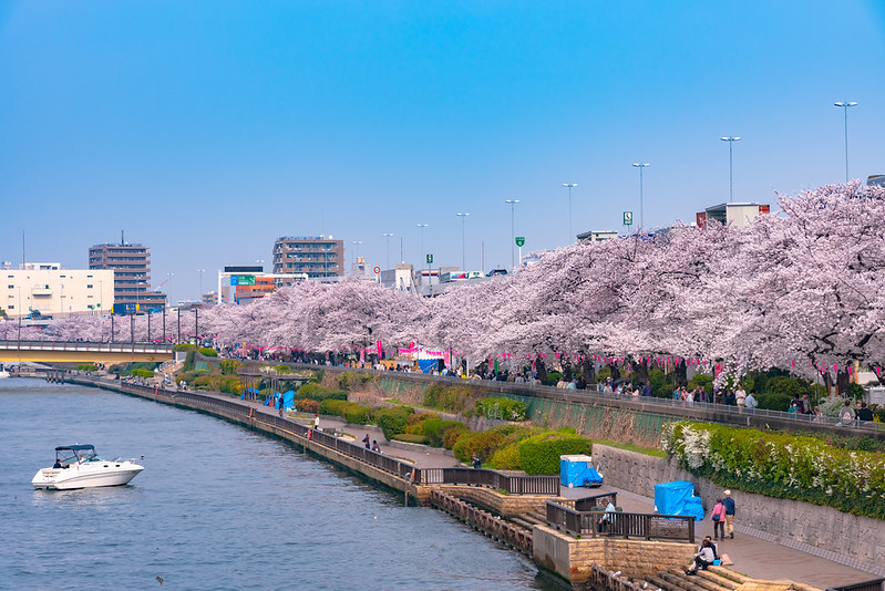 For a different perspective of Tokyo, consider taking a boat cruise along the Sumida River