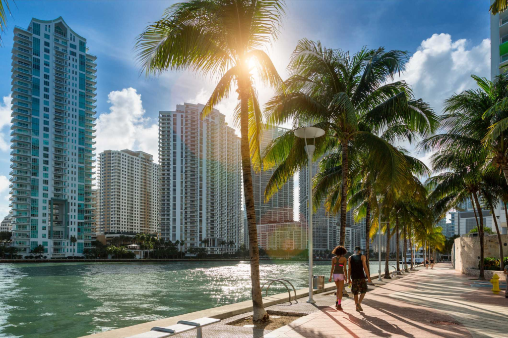 Miami is a city that pulses with energy, known for its beautiful beaches, Art Deco architecture, and vibrant nightlife