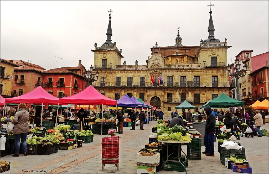 The vibrant Plaza Mayor is the heart of León's social life