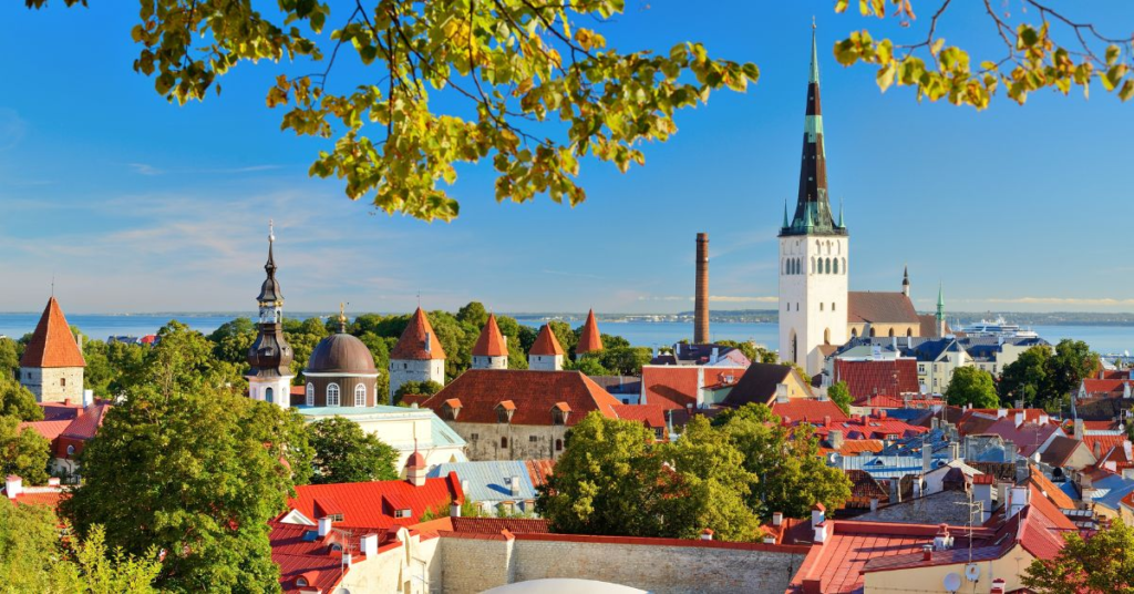 Estonia was one of the first countries in the world to offer a digital nomad visa, launched in August 2020. Estonia's progressive approach to digital technology (it was also the first country to implement e-residency in 2014) made it a natural pioneer for welcoming digital nomads.