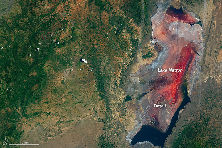 Despite its importance to flamingo populations and its status as a natural wonder, Lake Natron faces several threats