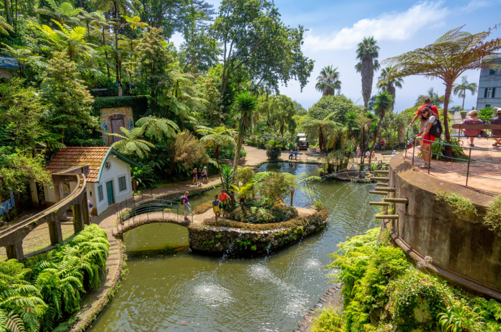 Funchal, located on the island of Madeira, offers a unique blend of natural beauty, mild weather, and fascinating history. As the capital of the Madeira archipelago