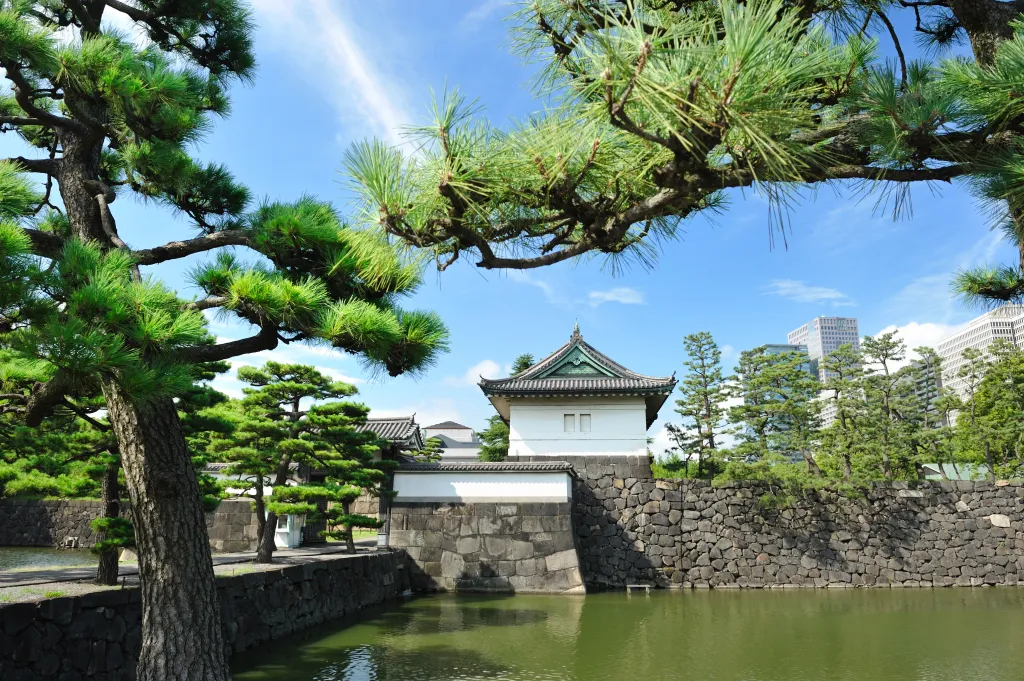 Located at the northern end of the Forbidden City, the Imperial Garden is a beautiful space filled with pavilions, ancient trees, and rock formations